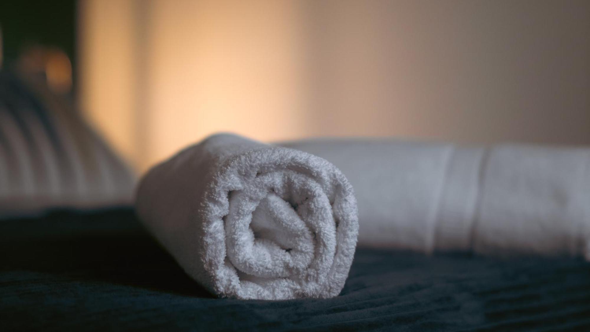 Loft 150 M2 Jacuzzi, Sauna Et Massage Blagnac Zewnętrze zdjęcie